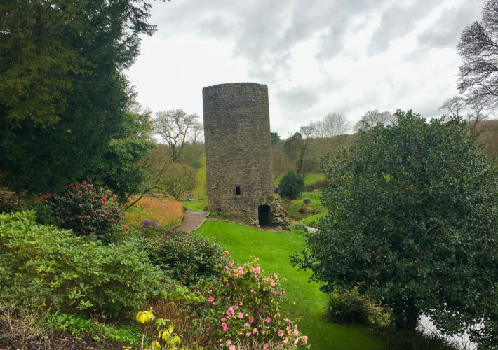 Blarney Castle Gardens